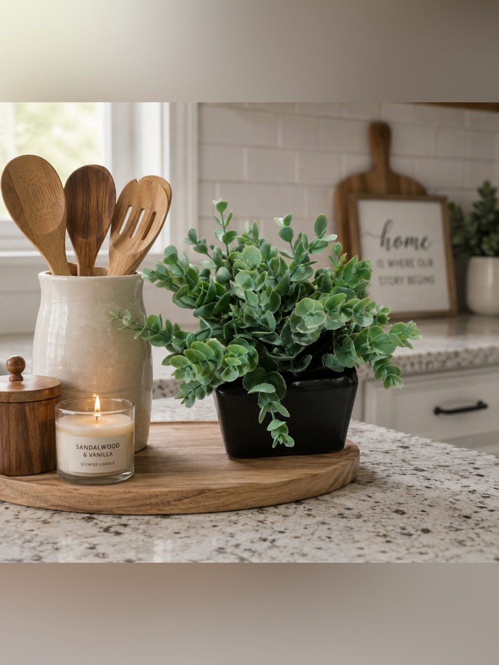 Eucalyptus Decor Pot - Home Decor, NWT